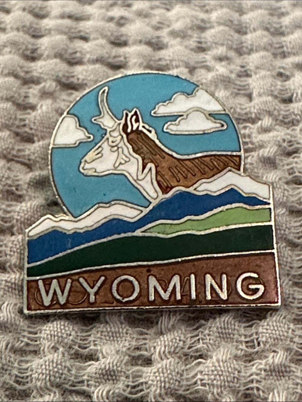 Wyoming Mountain Goat Pin